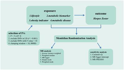 Causal effect of lifestyle and metabolic indicator with herpes zoster: a two-sample Mendelian randomization study